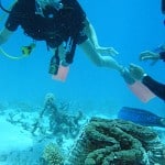 Travel Australia: The Great Barrier Reef