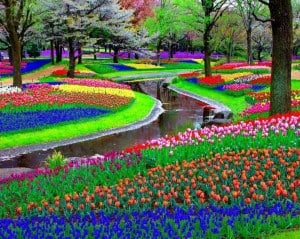 Keukenhof