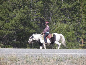 800px-Horse_riding_at_Spirit_Lake_Wilderness_Resort,_Yukon