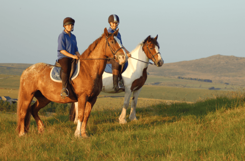 Pony trekking newcastle county down