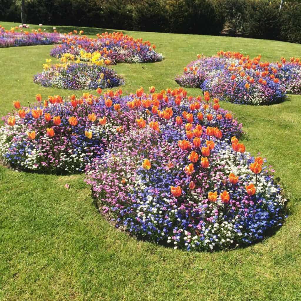 Flowers at walled garden bangor northern ireland