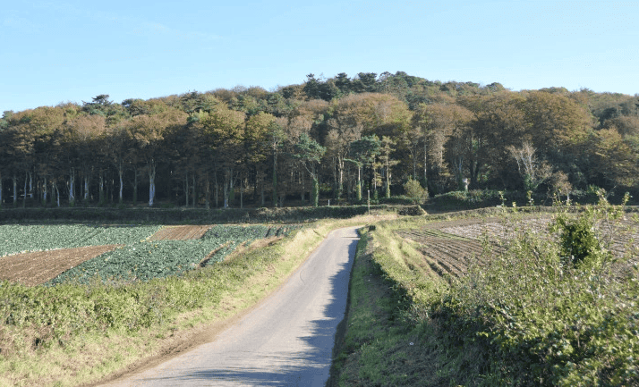 Killynether Forest Park